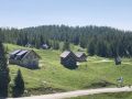 Auf der Alm gibt es viele nette Hütten und Häuser