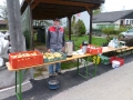 Labstation in Intenham