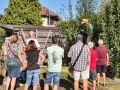 Los geht's mit dem Schneiden der Äste